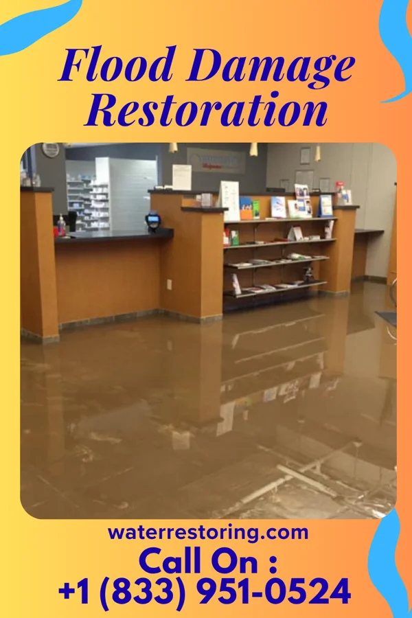 Flood Damage Restoration in Maskell, NE