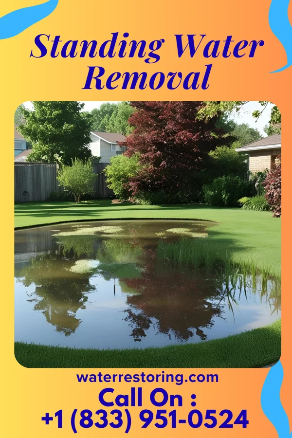 Standing Water Removal in Maskell, NE